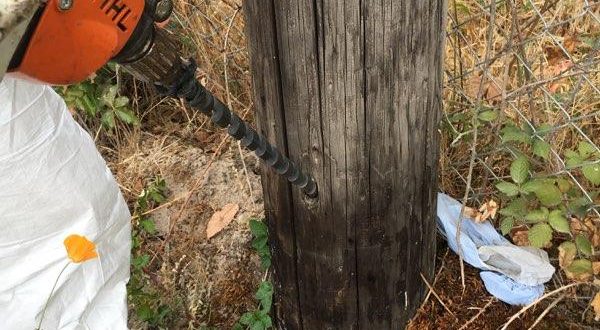 tillamook-pud-inspection-and-treatment-of-wood-power-poles-program