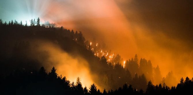 OREGON DEPARTMENT OF FORESTRY: Pike Road Fire evening ...