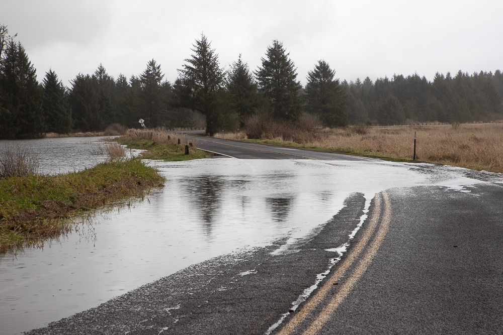 flooding over a road during a king tide event on the coast.