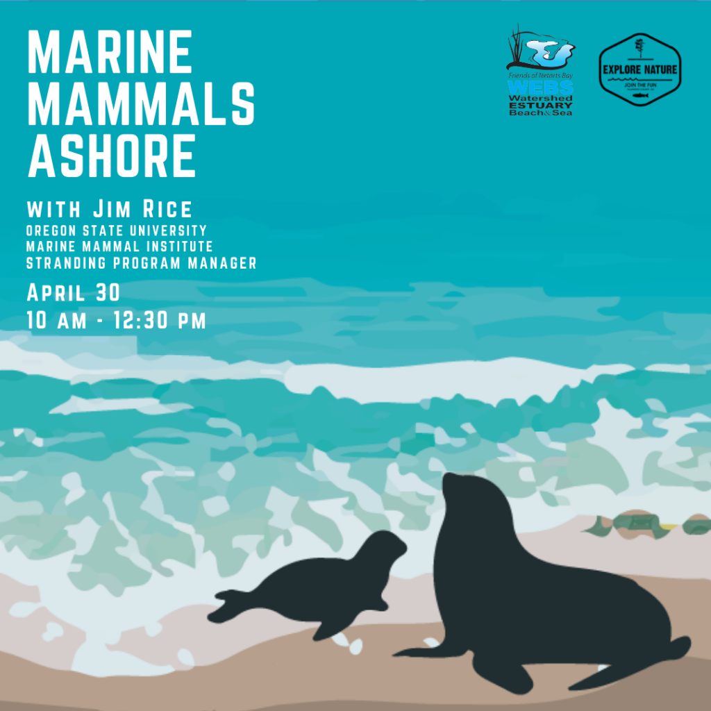 Marine Mammals Ashore – Responding to Strandings in Oregon Training on  April 30, 2022 – Tillamook County Pioneer