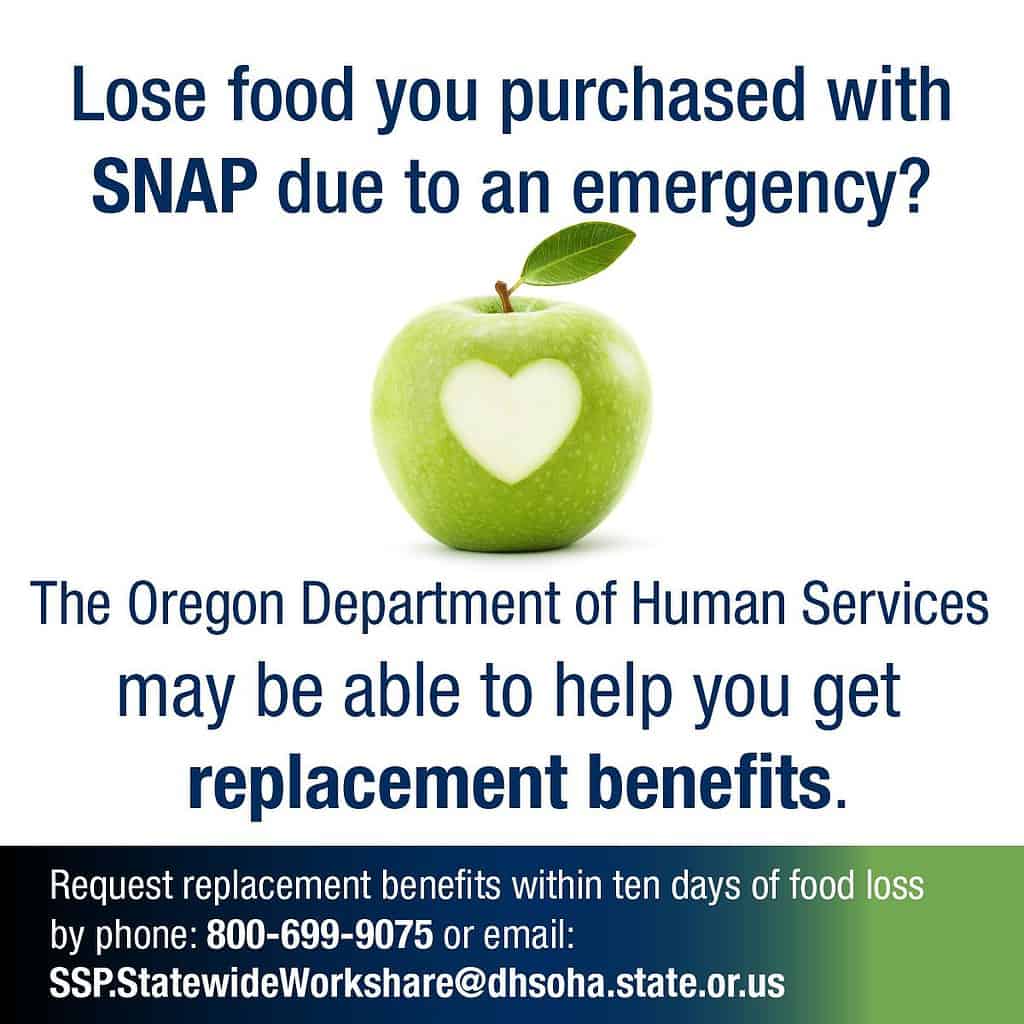 Did You Lose Food in Power Outage? Options for Replacement; SNAP Funds