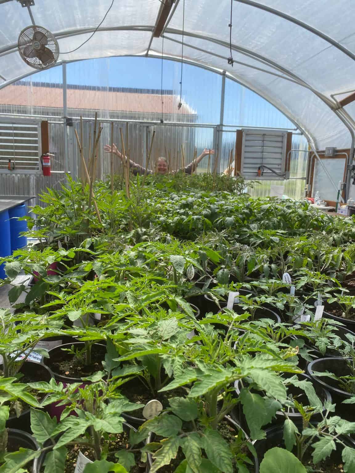 Nehalem Bay Garden Club Annual Plant Sale Sat. May 11 & Sun. May 12th