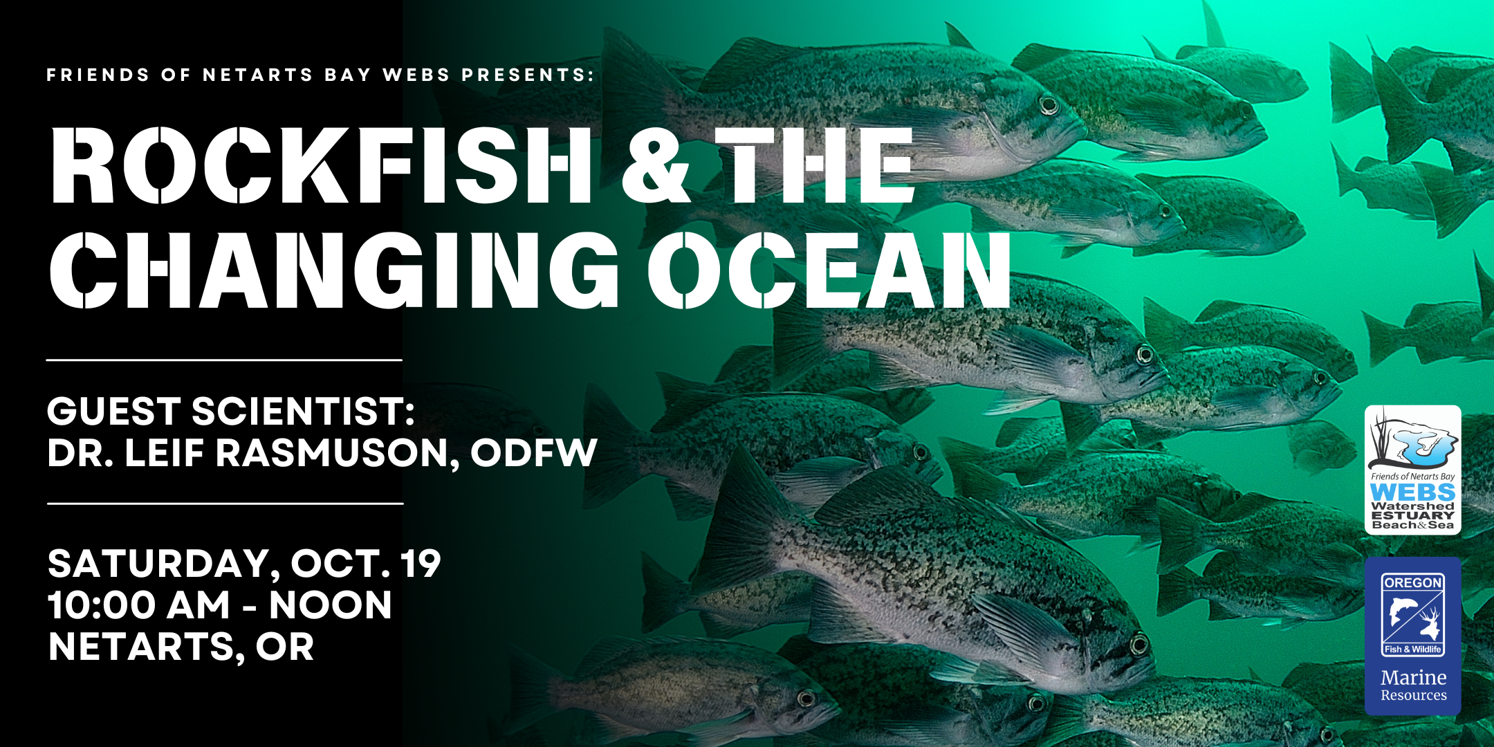FRIENDS OF NETARTS BAY WEBS ROCKFISH AND THE CHANGING OCEAN Saturday