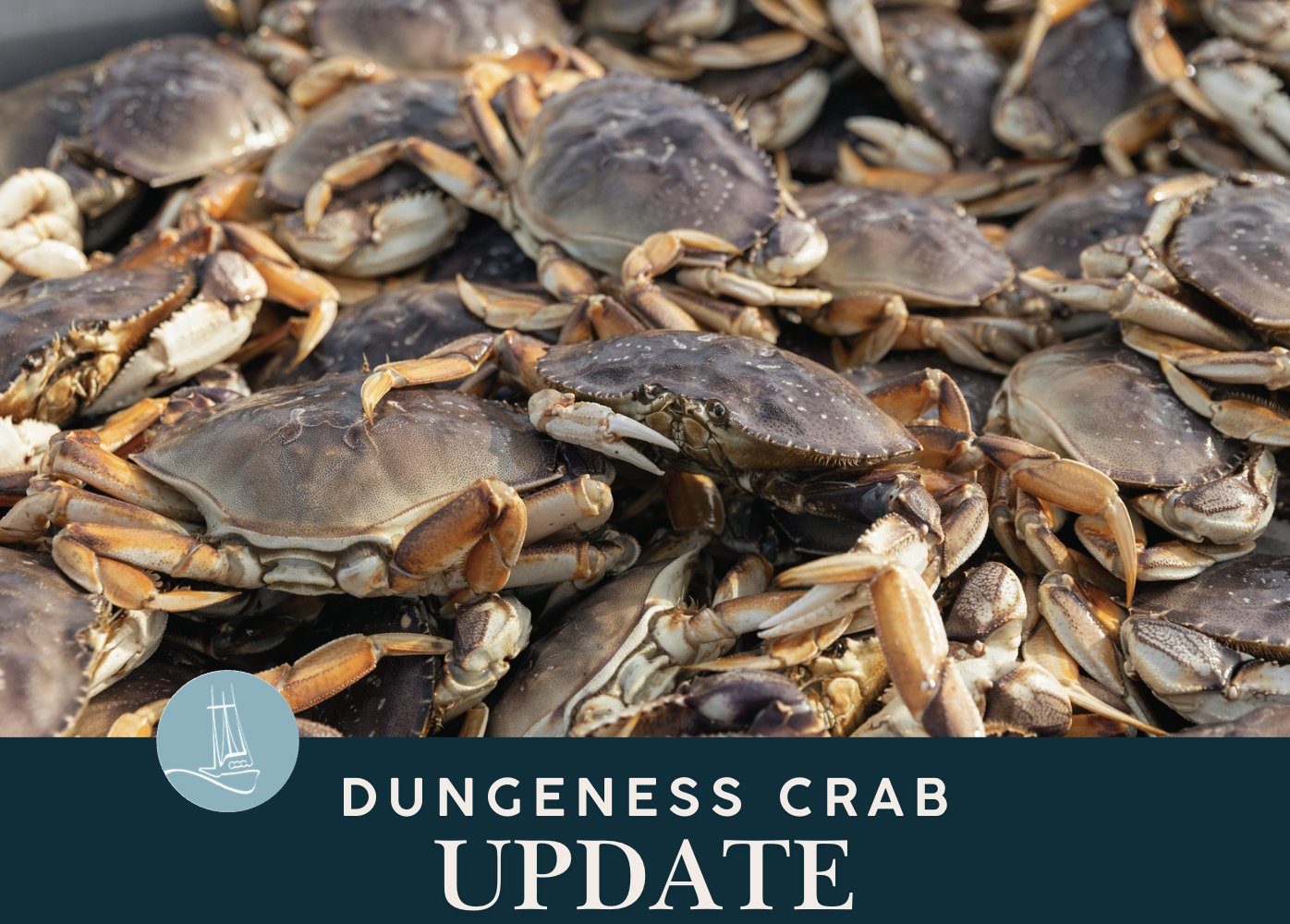 OREGON DEPT. OF FISH & WILDLIFE: Oregon's north coast opens to