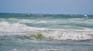 BUTCH’S BLOG: On The Beach – Tillamook County Pioneer